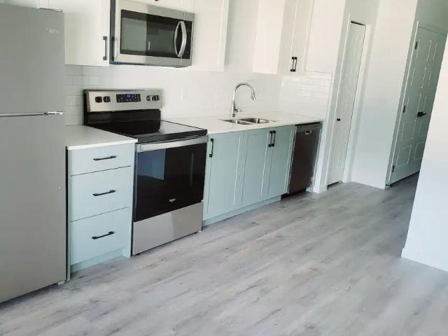 Brand New Walkout Basement