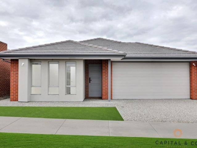 Brand New with 2 Living Areas !