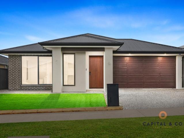 Brand New Upgraded 5 Bedroom House