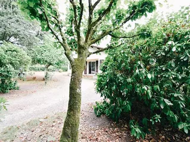 Bretagne de Marsan 40280 Achat / Vente maison 4 pièces t4 jardin