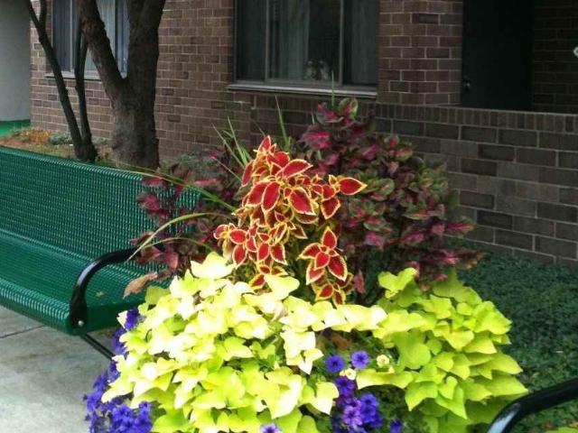 Breton Village Green 1 Bedroom Apartment for Rent at 2305 Burton St Se, Grand Rapids, MI 49506