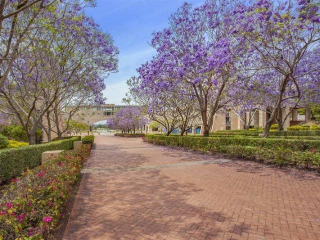 Break Lease Opportunity Fully Furnished High Floor Studio Apartment
