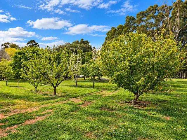 Breathtaking Country Vistas Within Town Limits