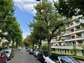 Breitenrain Erstbezug nach Sanierung