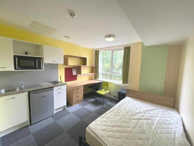 Bridge Road, Saltley, B8 3TE, United Kingdom | Studio apartment for rent #29629233 | Rentberry