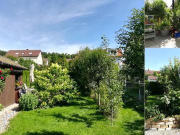 Bright 3 room apartment in Schönaich with garden