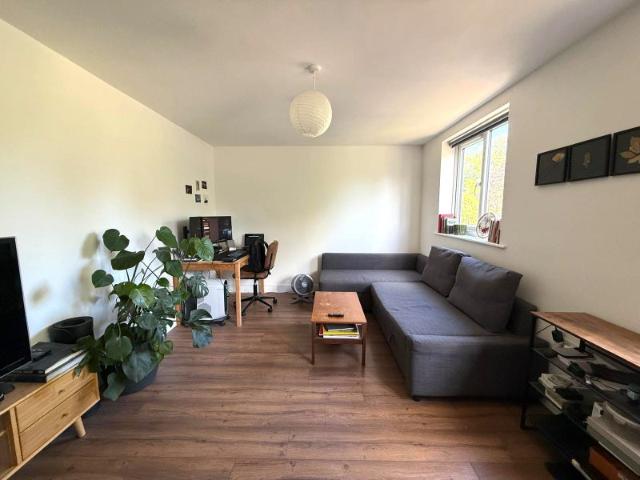 Bright 1 bed flat overlooking Peckham Rye
