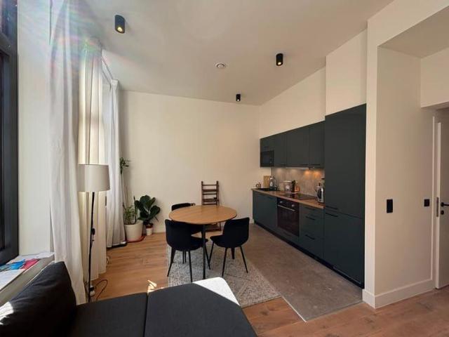 Bright 1 bed Leuven flat with balcony, available 1 Sept