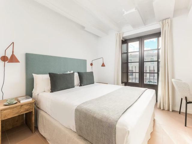 Bright 1 Bedroom Apartment with Balconies in City Center, Barcelona Amsterdam Apartments for Rent