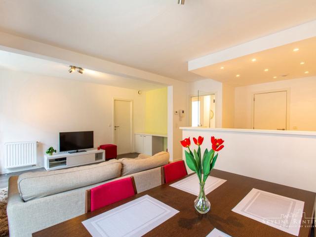 BRIGHT 1 bedroom apt. EU district