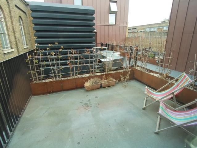 Bright 1 Bedroom Flat with terrace in Rye Lane