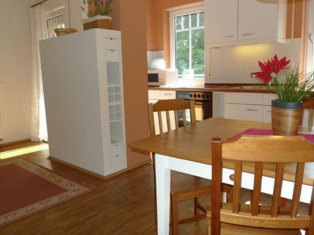 Bright 2.5 Room Apartment with Spacious Roof Terrace in an Upscale Residential Area in Striesen, Dresden Amsterdam Apartments for Rent