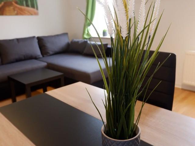 Bright 2 room apartment with great connections in Dresden, Dresden Amsterdam Apartments for Rent