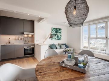 Bright 2 room apartment with two roof terraces