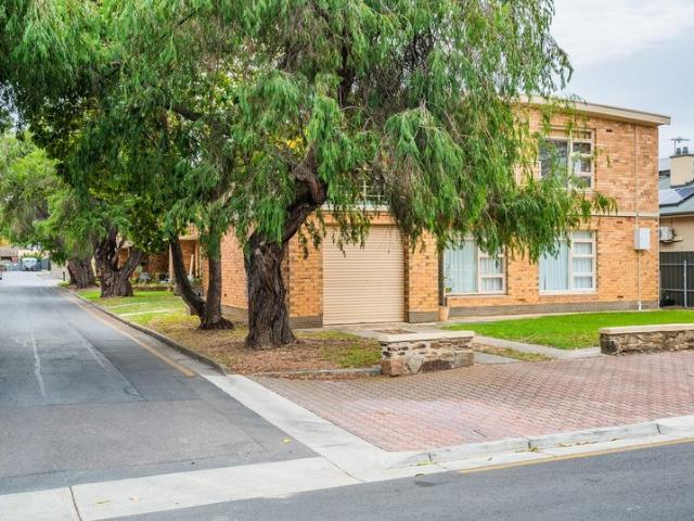 Bright & Comfortable Living in Glenelg North!