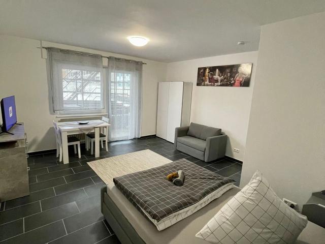 Bright, amazing flat close to park, Karlsruhe Amsterdam Apartments for Rent