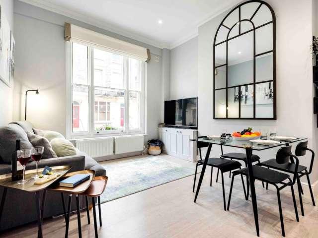 Bright and Modern Bayswater Apartment