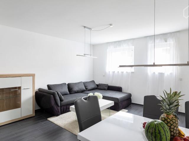 Bright and modern new loft in Frankfurt am Main with direct access to the river Main, quiet flat, Frankfurt Amsterdam Apartments for Rent