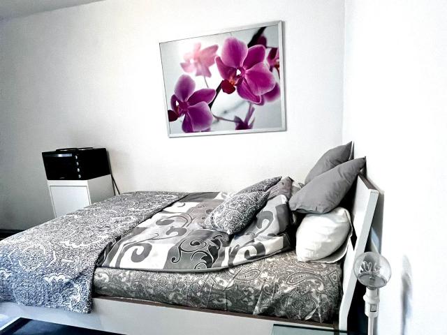 Bright and nice flat near university, Dusseldorf Amsterdam Apartments for Rent