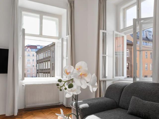 Bright and amazing loft close to city center
