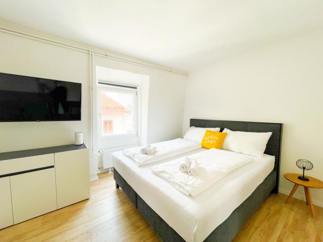 Bright and amazing suite in excellent location