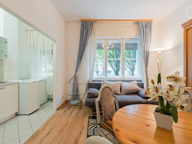 Bright and quiet 2 room Altbau apartment with balcony to the green area near S Bahn and FU, Berlin Amsterdam Apartments for Rent
