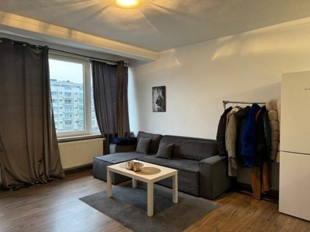 Bright and spacious studio