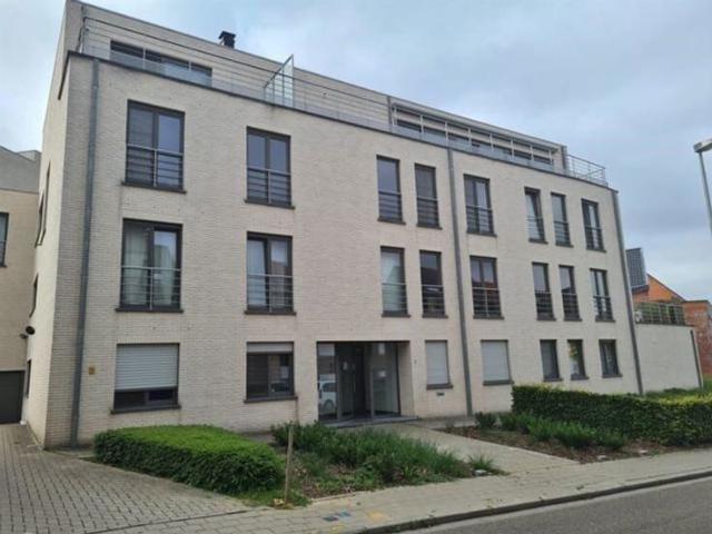 Bright and spacious 85 m² one bedroom apartment with terrace