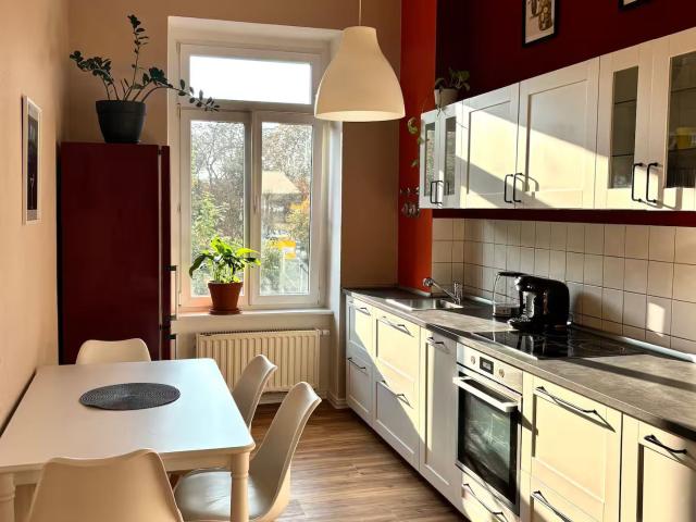 Bright apartment near the city center