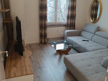 Apartment for rent in Gallus - Ausgestattete Küche