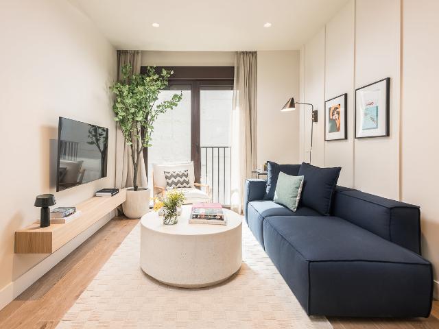 Bright apartment in the Malasaña area