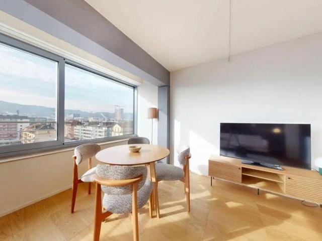 Bright apartment in Zurich