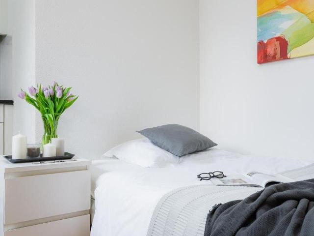 Bright Apartment in Zurich Near the City Centre, Zurich Amsterdam Apartments for Rent
