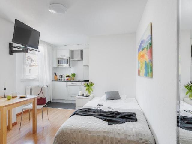 Bright Apartment in Zurich Near the City Centre, Zurich Amsterdam Apartments for Rent