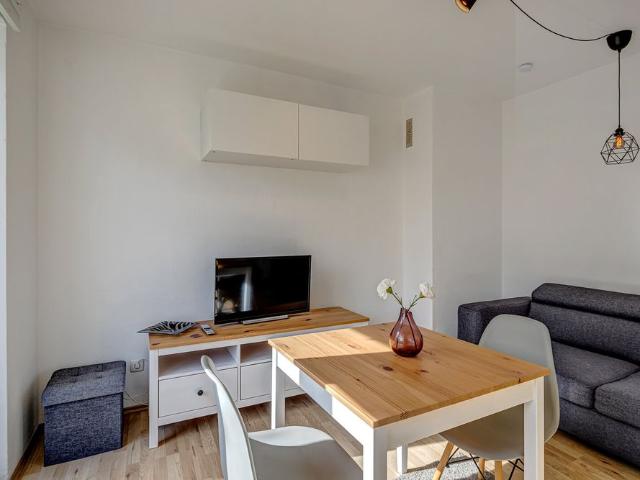 Bright apartment with large roof terrace for rent