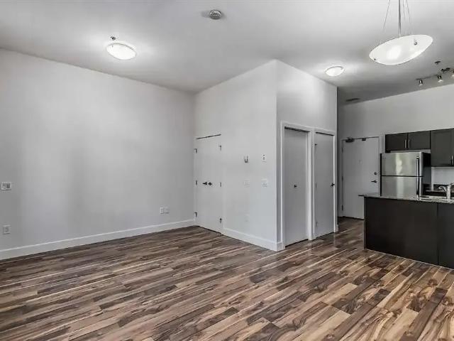 Bright big studio/loft condo — 0 Bedrooms Condo Unit