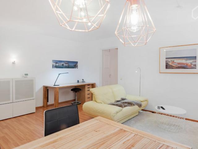 Bright, great furnished apartment with large terrace in Stuttgart Schönberg with separate entrance, Stuttgart Amsterdam Apartments for Rent