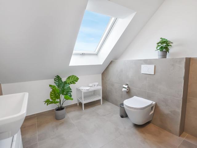 Bright, great suite in Bielefeld, Bielefeld Amsterdam Apartments for Rent