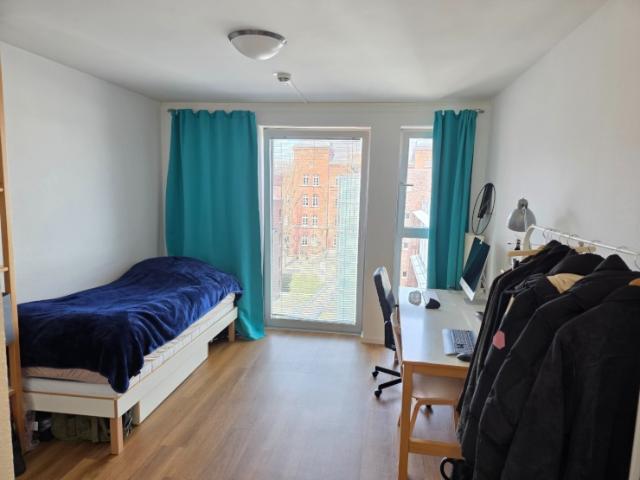 Bright, Fully Furnished Single Studio Apartment – Two Months Sublet November December