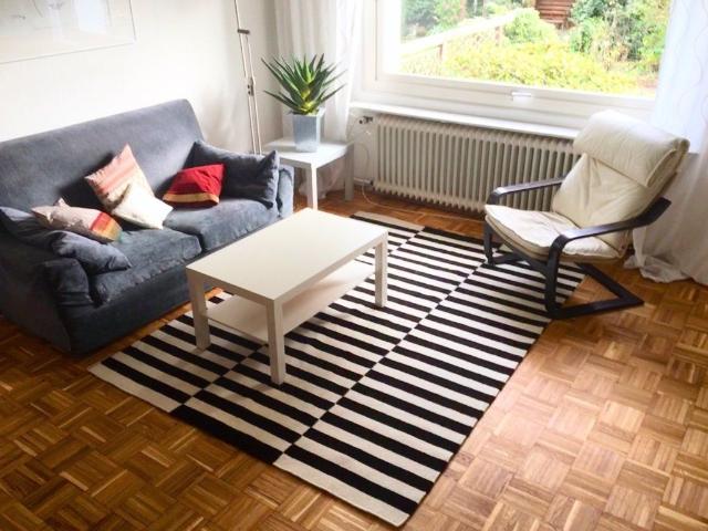 Bright, fully furnished 2 room apartment in the best location of Krefeld, Krefeld Amsterdam Apartments for Rent