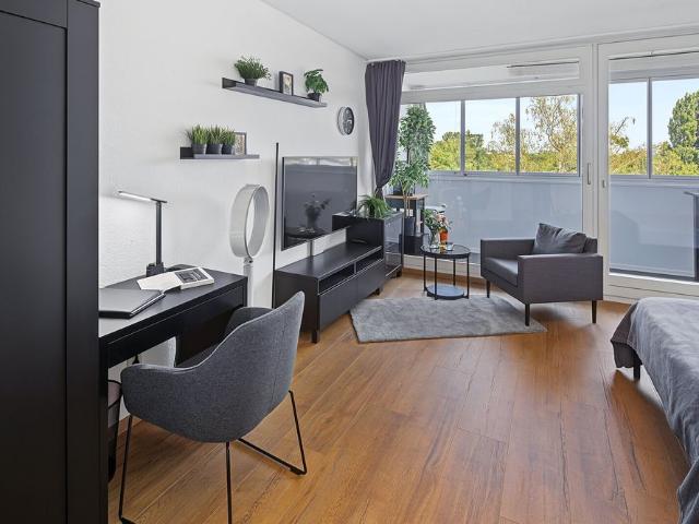 Bright furnished apartment for rent