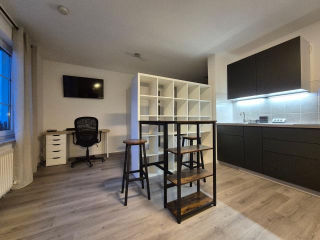 Bright Furnished Apartment in Green & Quiet Location – Ideal for Commuters, Jena Amsterdam Apartments for Rent