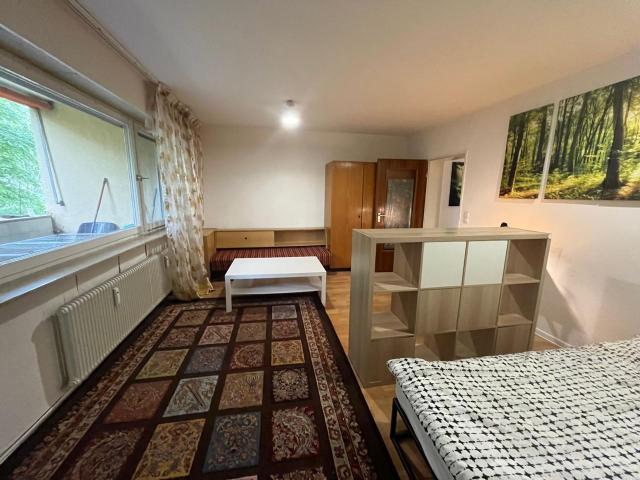 Bright, furnished, quiet, next to the forest, with 2 terraces, Nurnberg Amsterdam Apartments for Rent