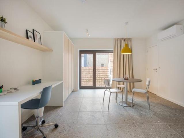 Bright, furnished studio in the centre of Leuven