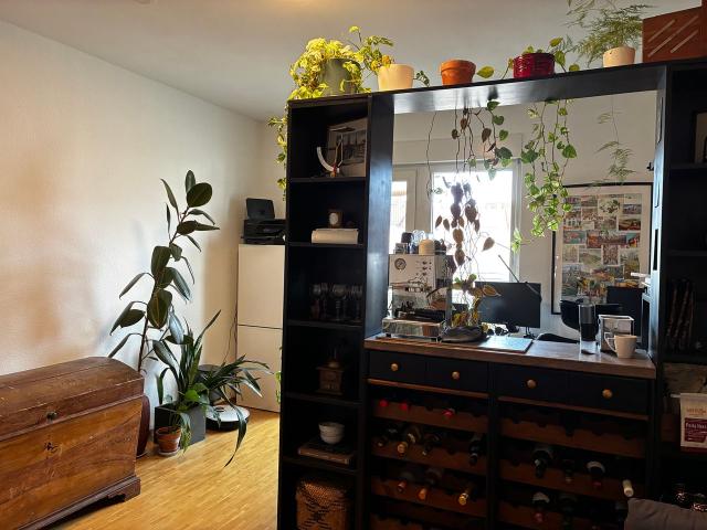 Bright, furnished 83 sqm apartment with balcony in Stuttgart West, Stuttgart Amsterdam Apartments for Rent