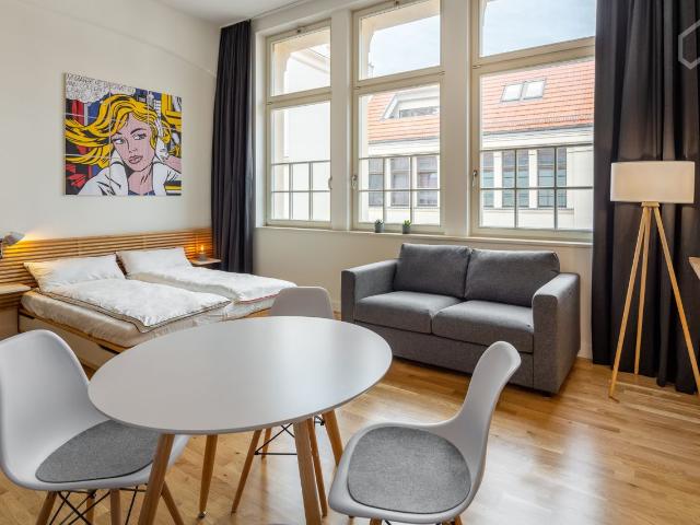 Bright industrial loft with fitness room in Leipzig Central South close to Uni Clinic / Bayr. Bahnhof, Leipzig Amsterdam Apartments for Rent