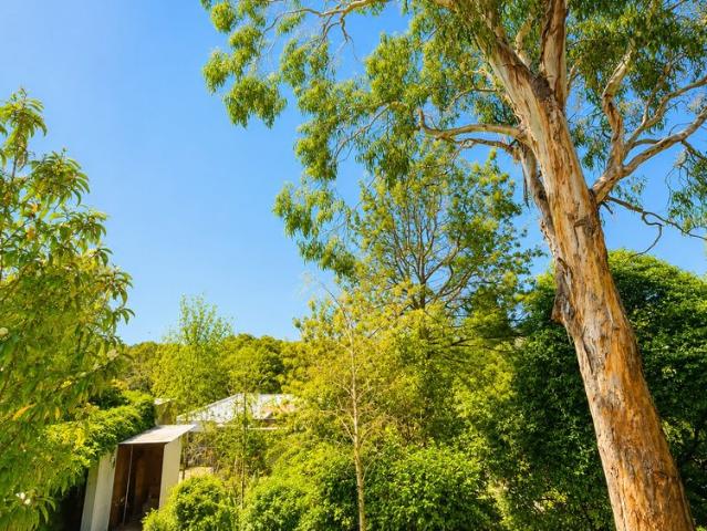 Bright One Bedroom Apartment in Leafy Hawthorn