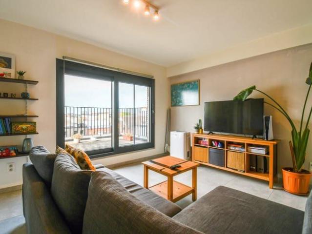 Bright one bedroom apartment with a spacious terrace near do