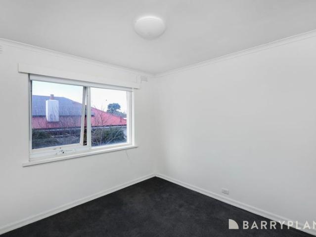 Bright low maintenance living