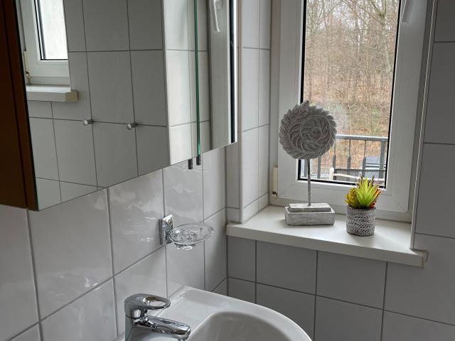 Bright & nice studio Dresden, Dresden Amsterdam Apartments for Rent
